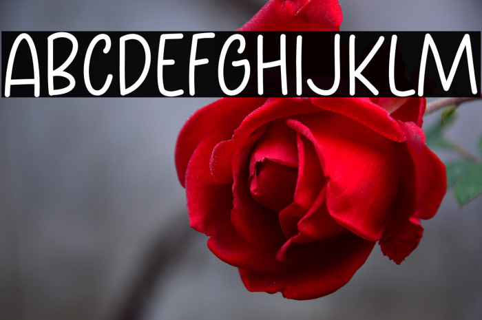 Productive Day Example 3