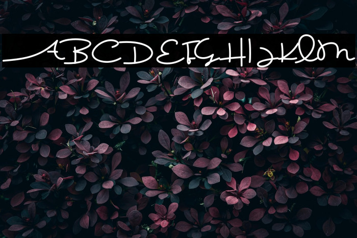 Prof. Bens Example 3