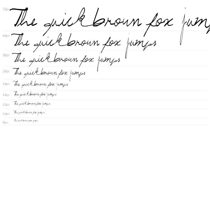 Prof. Jorge Waterfall