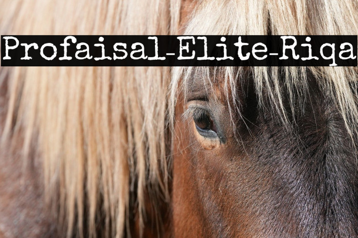 Profaisal-Elite-Riqa Example 1