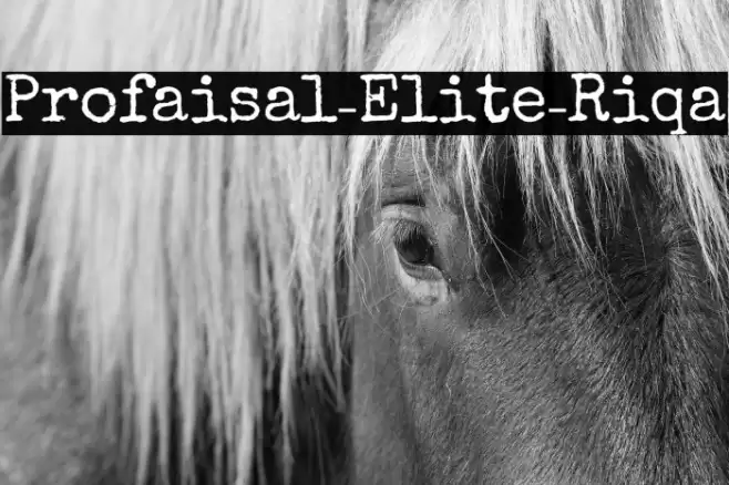 Profaisal-Elite-Riqa Font examples
