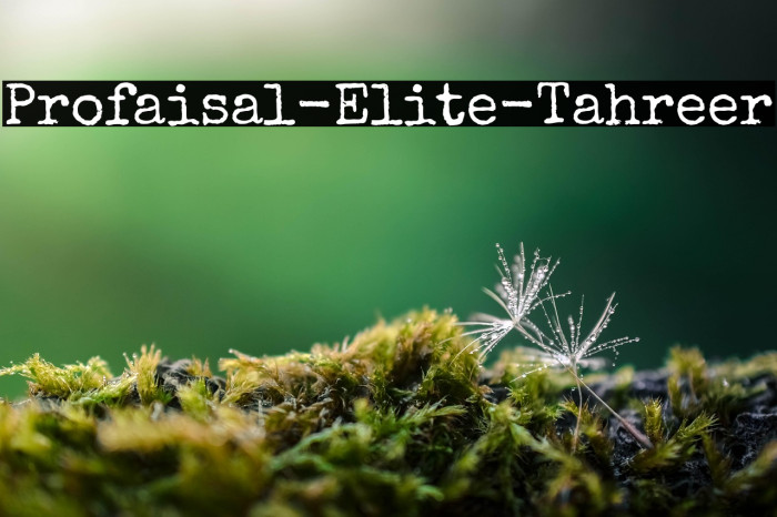 Profaisal-Elite-Tahreer Example 1