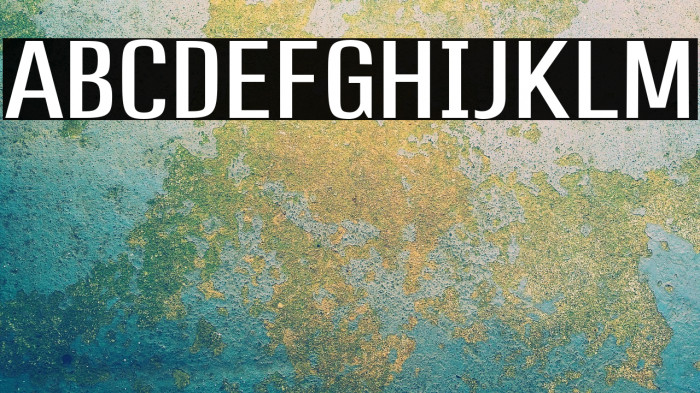 Profession-Regular Example 2