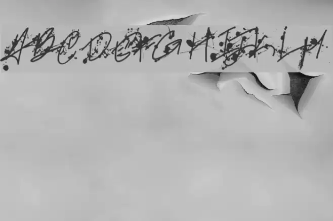 Professional Muse Font examples