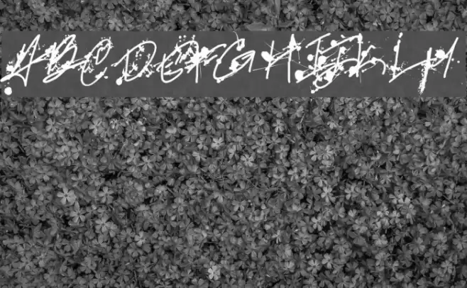 Professional Muse Font examples