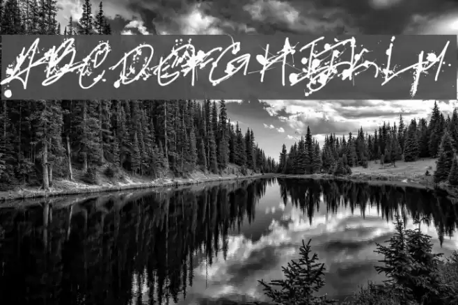 Professional Muse Font examples