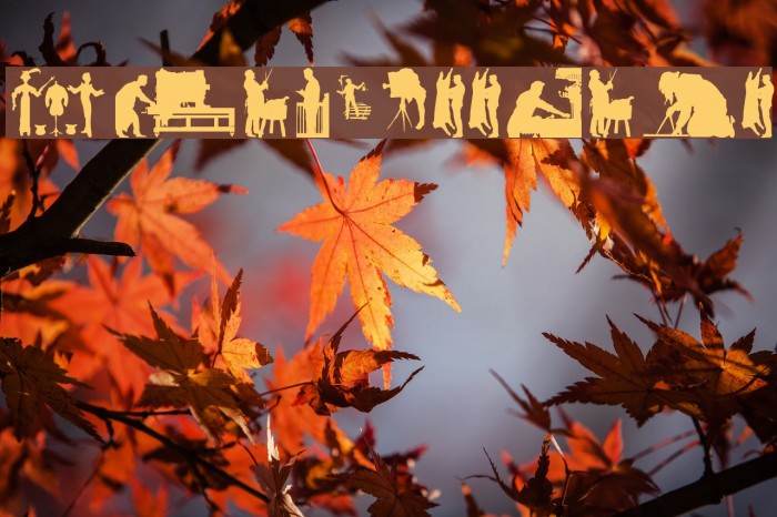 Professions Example 2