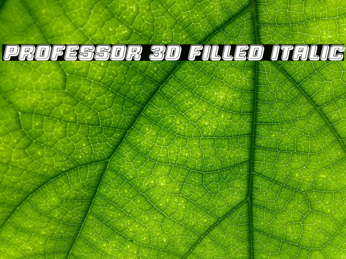 Professor 3D Filled Italic Font examples