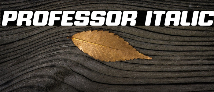Professor Italic Example 1