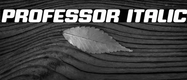 Professor Italic Font examples