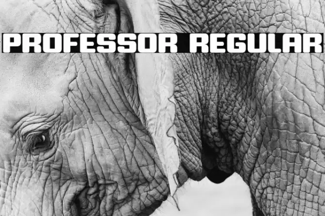 Professor Regular Font examples
