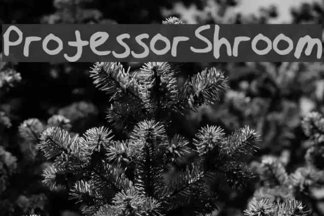ProfessorShroom Font examples