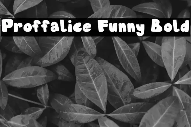 Proffalice Funny Bold फ़ॉन्ट examples