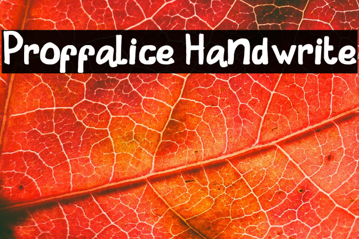 Proffalice Handwrite Example 2