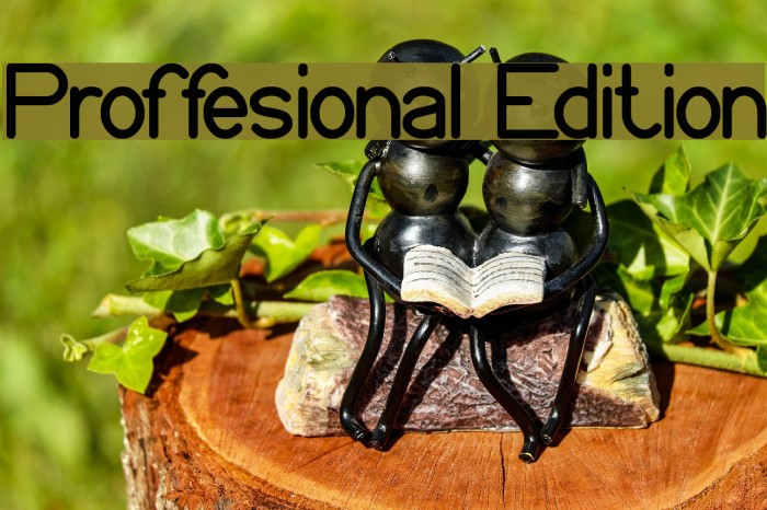 Proffesional Edition Font examples