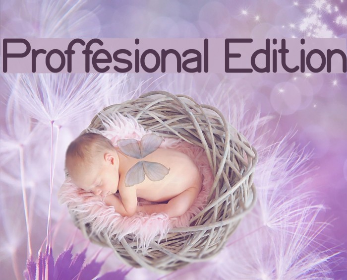 Proffesional Edition Font examples