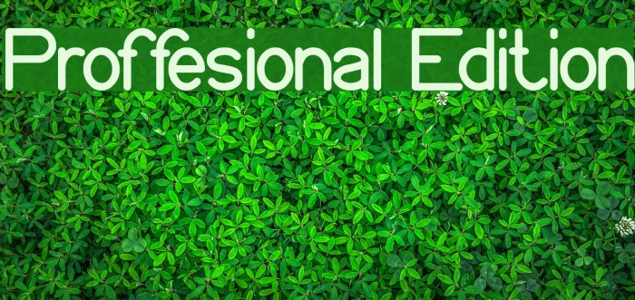 Proffesional Edition Font examples