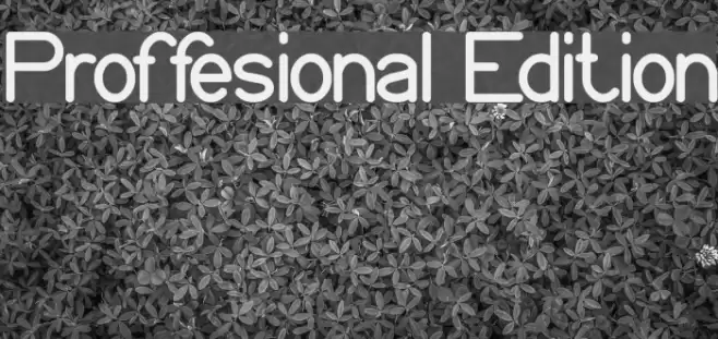 Proffesional Edition examples