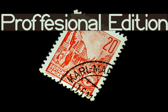 Proffesional Edition Font examples