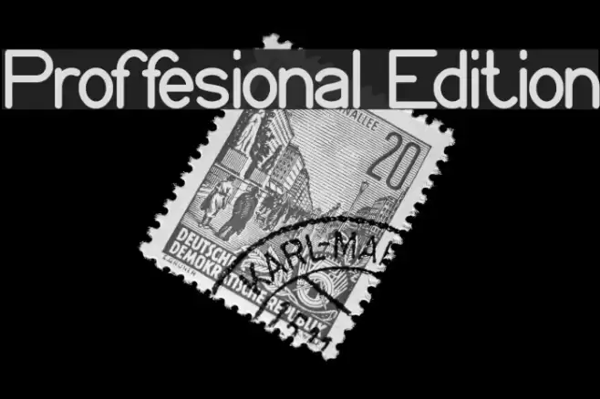 Proffesional Edition examples