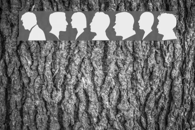 Profile Font examples