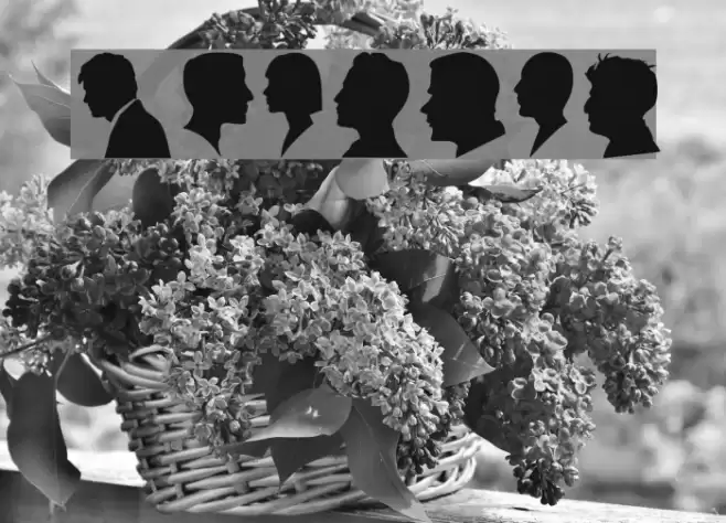 Profile Font examples