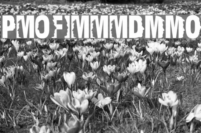 ProfilerDEMO Schriftart examples