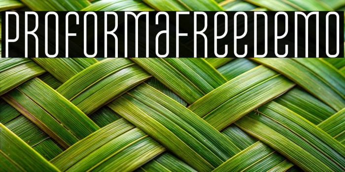 Proforma Free Demo Example 3