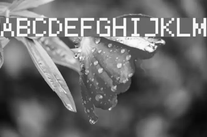 ProggyTinyTT Font examples