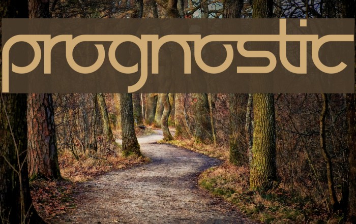 Prognostic Font examples