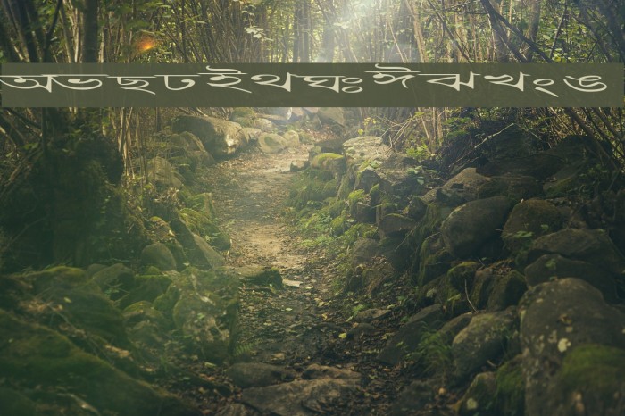 Progoty Scale Font examples