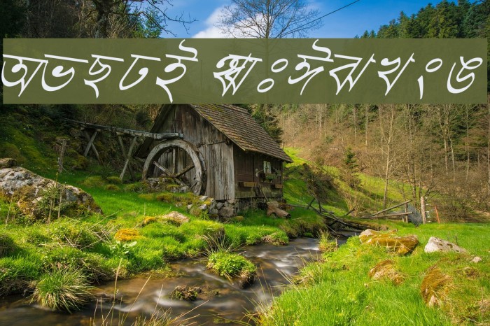 Progoty Skew Example 3