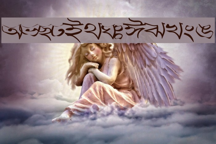 Progoty Warp Example 1