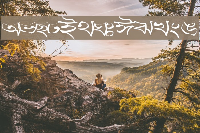 Progoty Warp Example 2