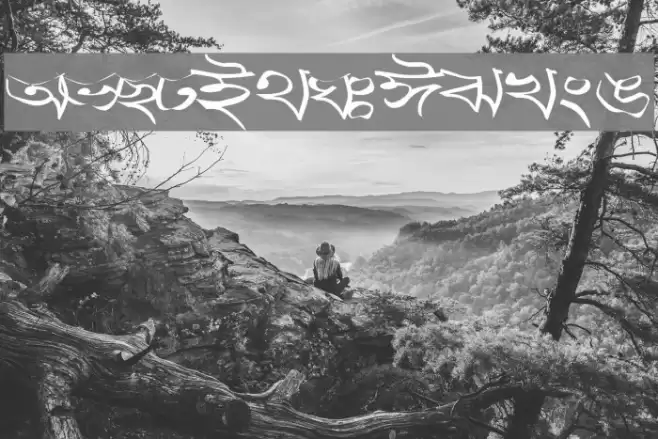 Progoty Warp Font examples