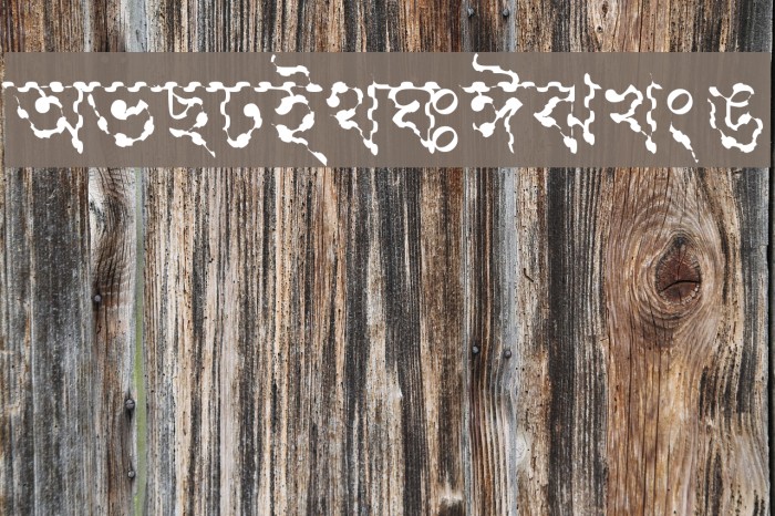 Progoty Wave Example 1