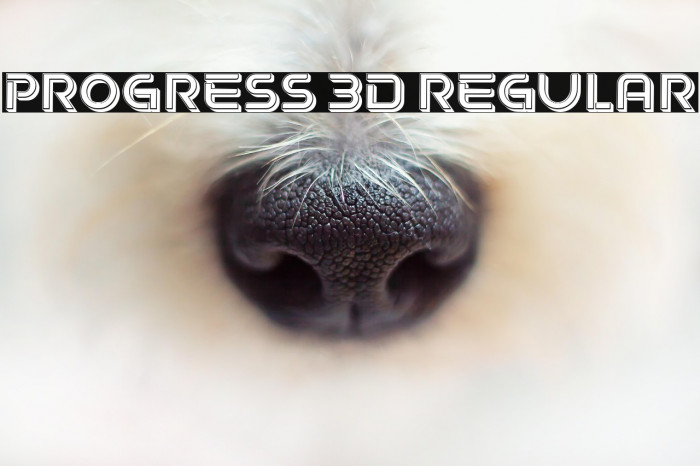 Progress 3D Regular Example 1