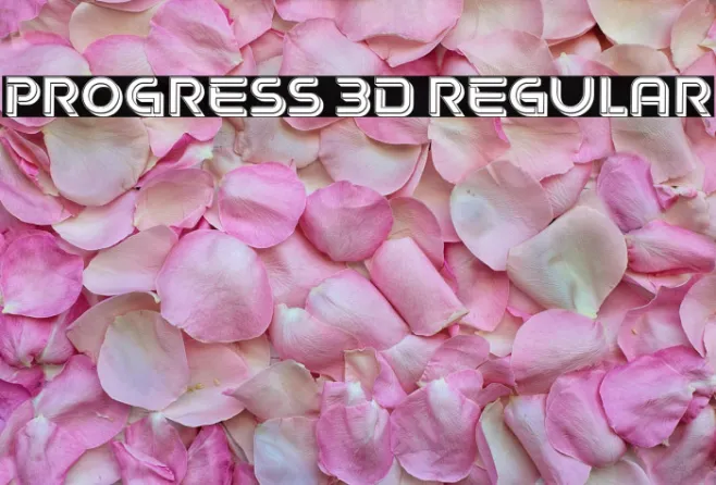 Progress 3D Regular Example 2