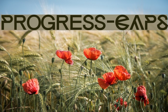 Progress-CAPS Example 3