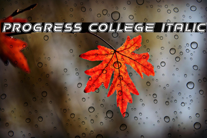 Progress College Italic Example 1