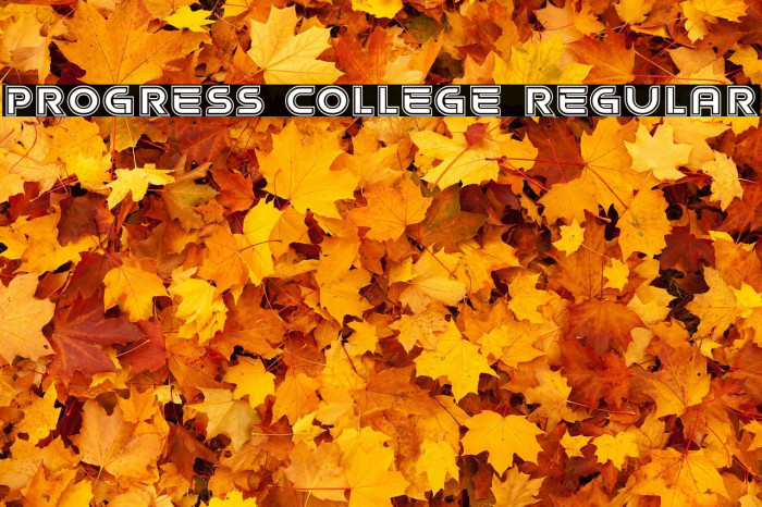 Progress College Regular Example 3