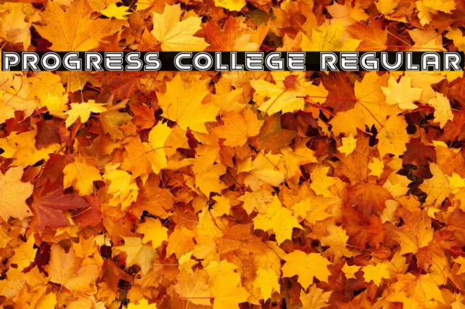 Progress College Regular Example 3