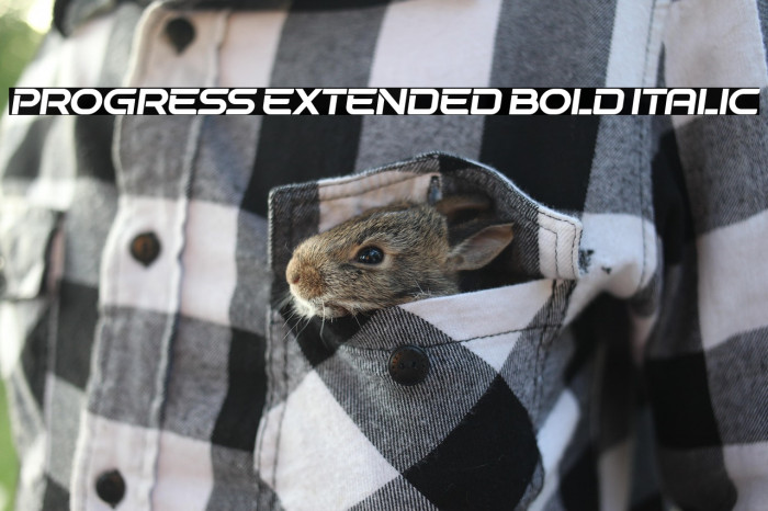 Progress Extended Bold Italic Example 2