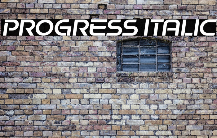 Progress Italic Example 1