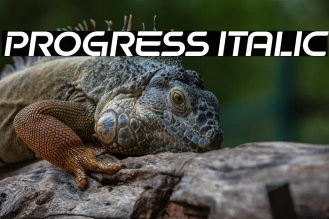 Progress Italic Example 3