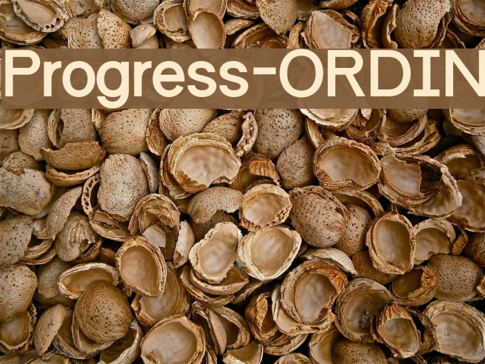 Progress-ORDIN Font examples