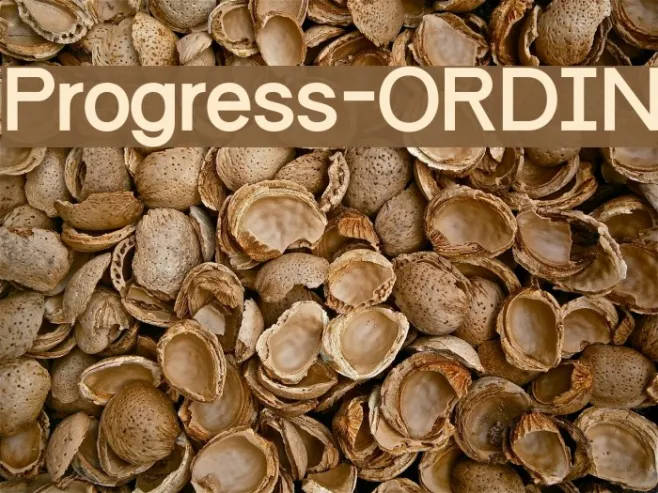 Progress-ORDIN Example 3