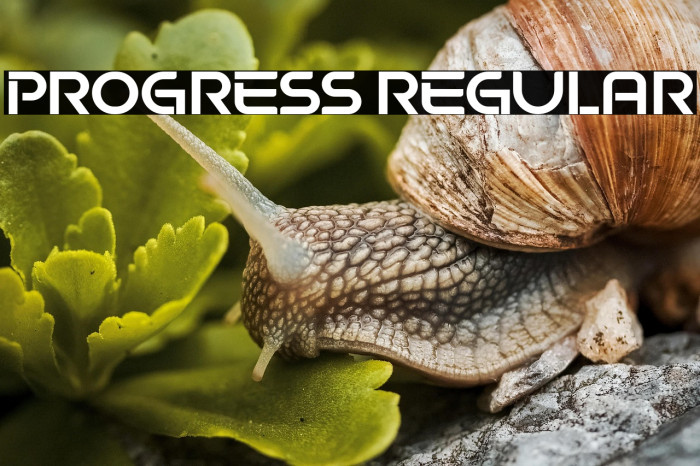 Progress Regular Example 2