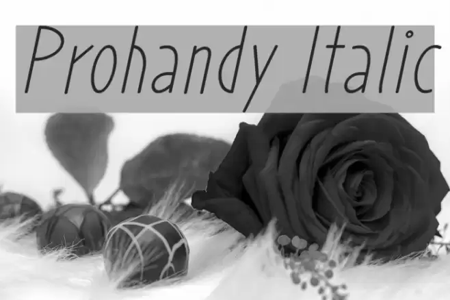 Prohandy Italic Font examples