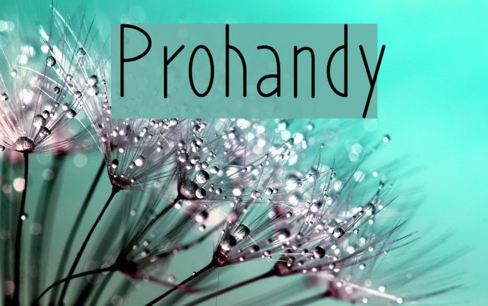 Prohandy Font examples